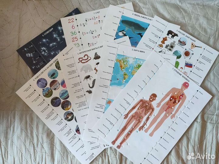 Карточки к электровикторине (10 королевство)