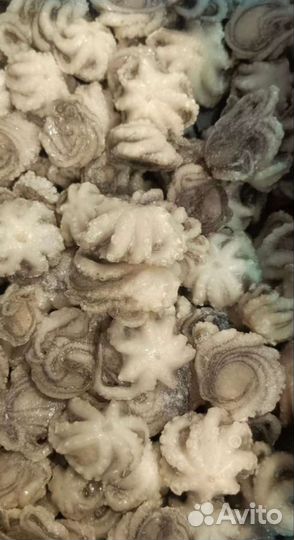 Осьминоги беби