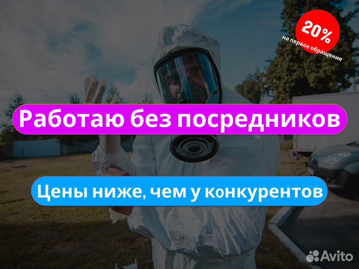 Уничтожение запаха плесени, удаление грибка