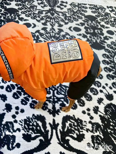 Зимний комбинезон