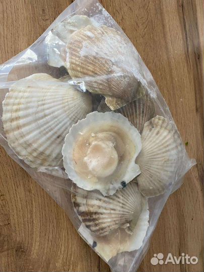Морской гребешок Гигант 1кг