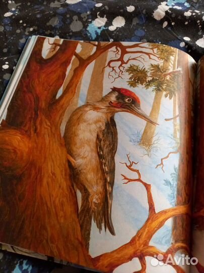 Детская книга Новогодняя сказка С. Козлов бронь