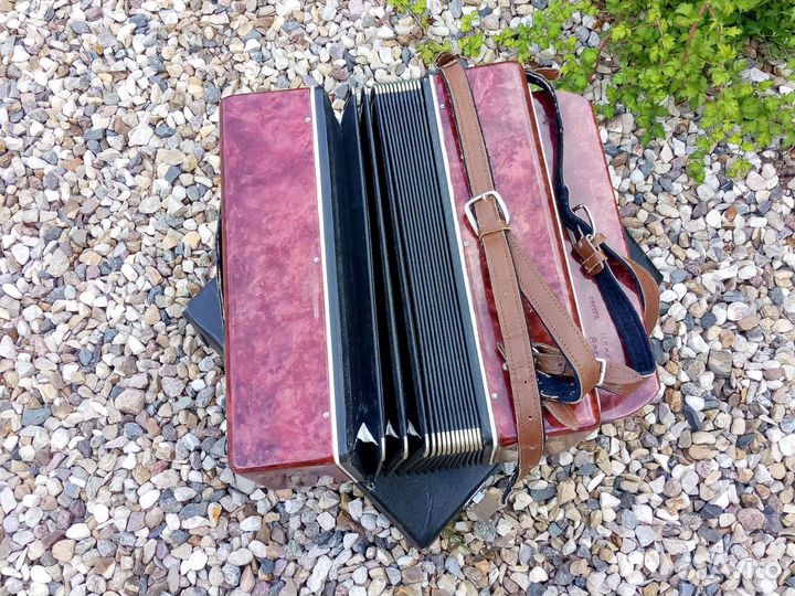 Баян Огонёк 2