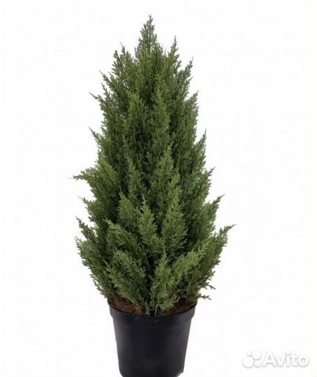 Искуственные туи