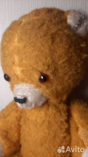 Медведь и Конь-огонь 50е г