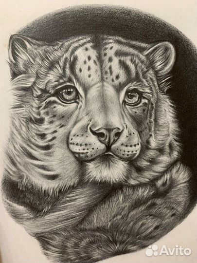 Портрет животного на заказ (графика)
