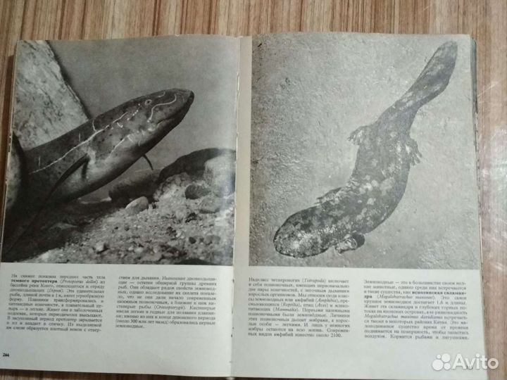 Иллюстрир-ная энцикл-дия животных В.Я.Станек Прага