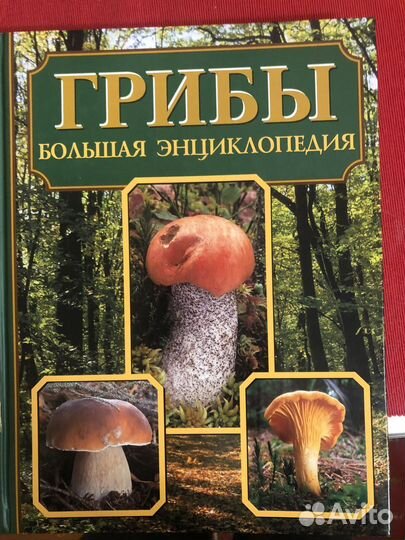 Книги/ альбомы в подарок