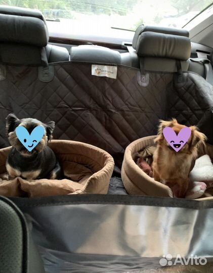 Автогамак для перевозки животных