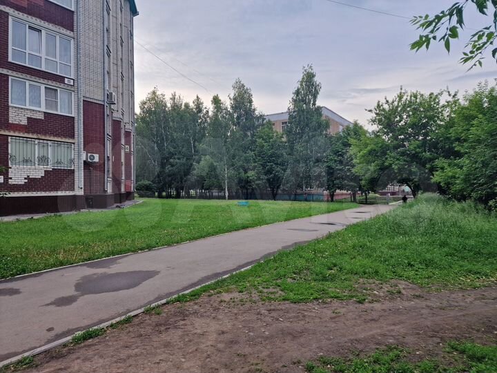 3-к. квартира, 81,5 м², 1/6 эт.