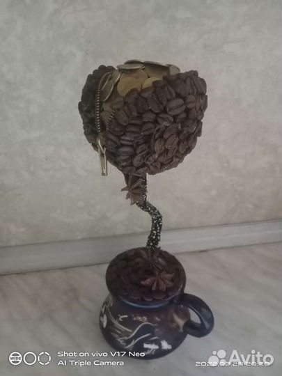 Топиарий Денежное дерево