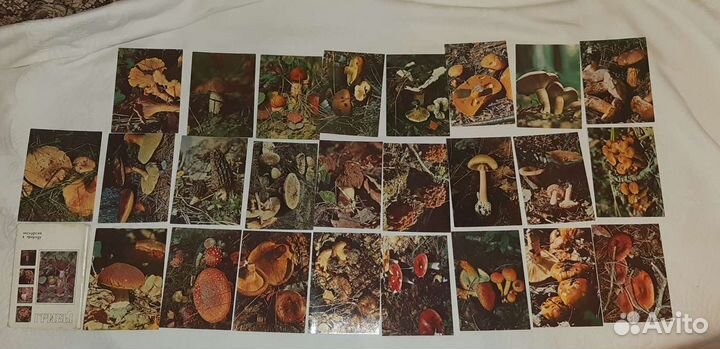 Советские открытки (часть 1)