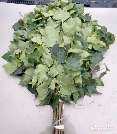 Веники дубовые, берёзовые