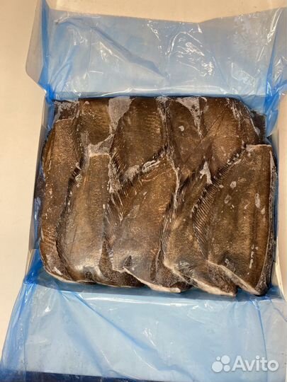 Палтус (Тушка) Синекорый/Чёрный/ Гренладский