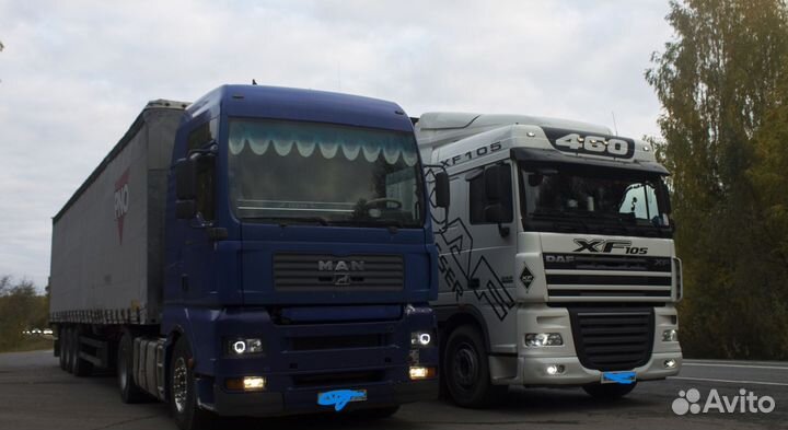 Трал Перевозка спецтехники