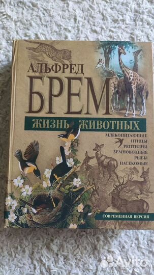 Жизнь животных Альфред Брем
