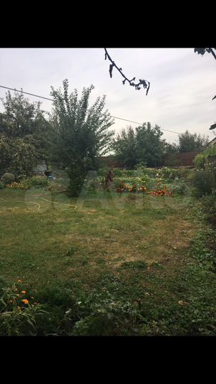 Дача 52 м² на участке 16 сот.