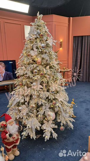 Елка в аренду. Елка на съемки. Елка на прокат