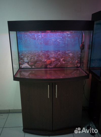 Аквариум 200 полукруглый, свет, биофильтр, тумба