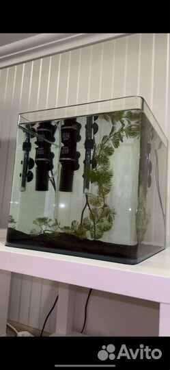 Аквариум cube панорамный