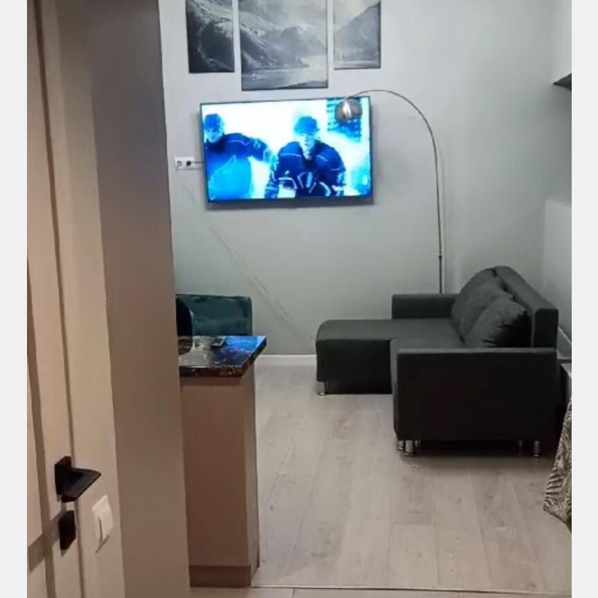 1-к. апартаменты, 24,5 м², 2/2 эт.