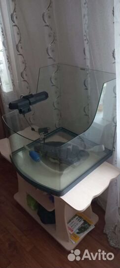 Террариум для красноухой черепахи