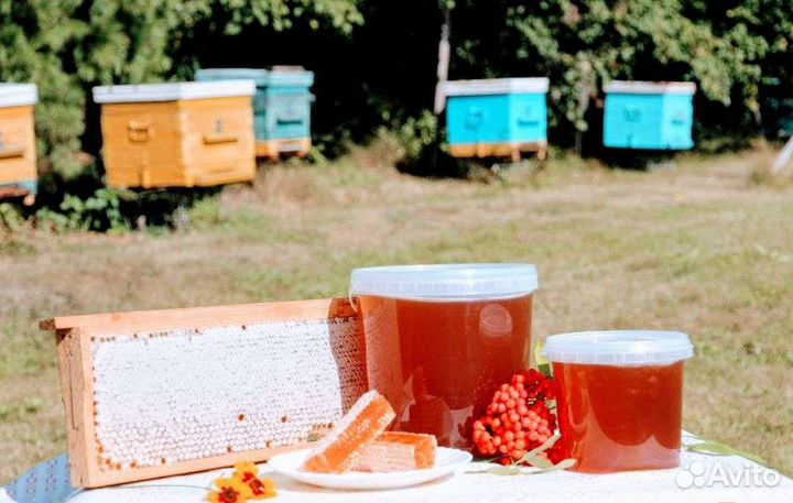 Мёд с наших пасек 2023 года