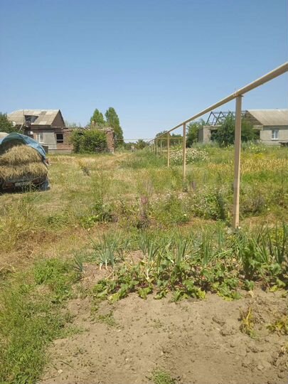 Дом 84 м² на участке 16 сот.