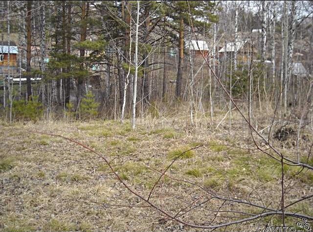 Участок 10 сот. (СНТ, ДНП)