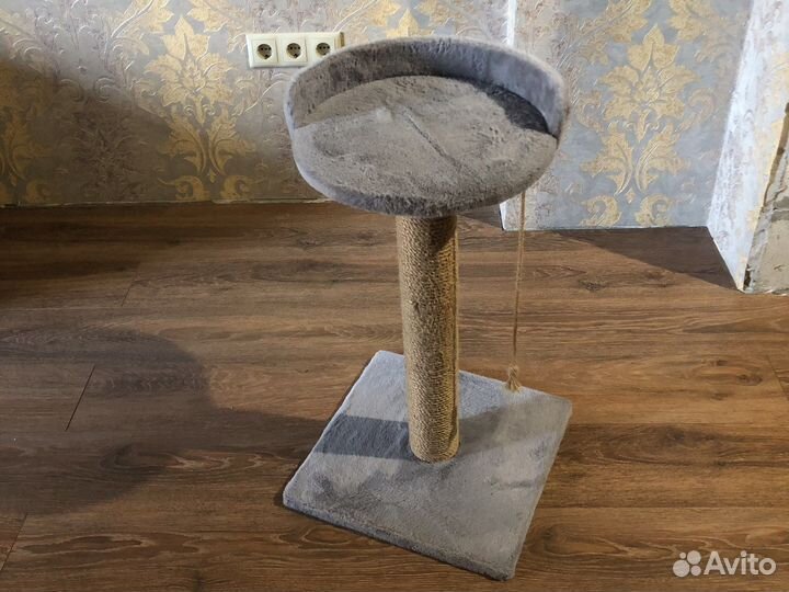 Когтеточка