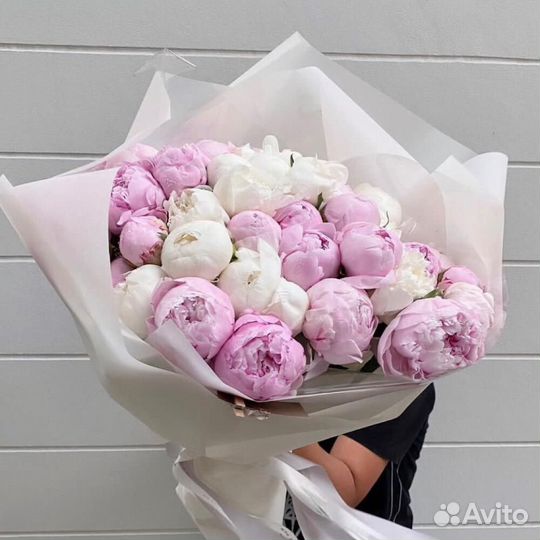 Пионы, цветы от производителя. Гарантия. 24/7