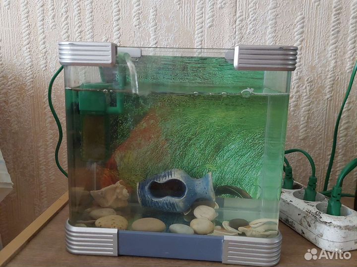 Аквариумы 20.л 10.л