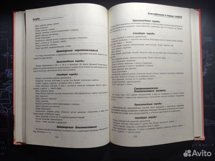 Линиза Жалпанова 