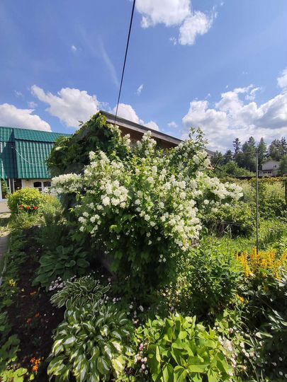 Дача 71,2 м² на участке 6 сот.