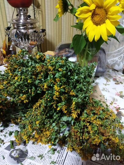 Трава Зверобой сушеный