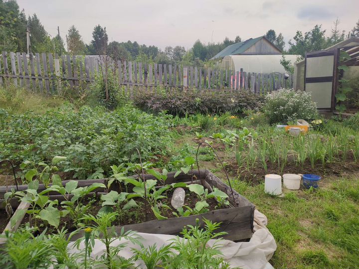 Дача 56 м² на участке 7,8 сот.