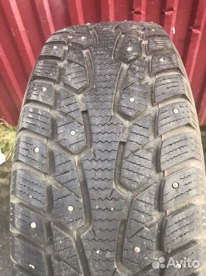 Шины Ovation Ecovision W-686 205 65 R15