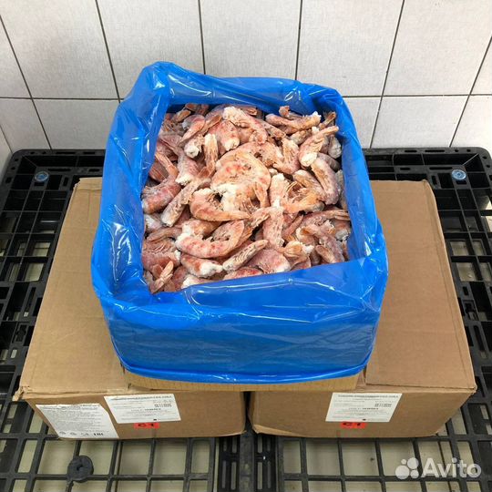 Креветка Аргентинская