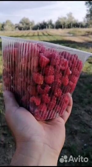 Малина ягоды