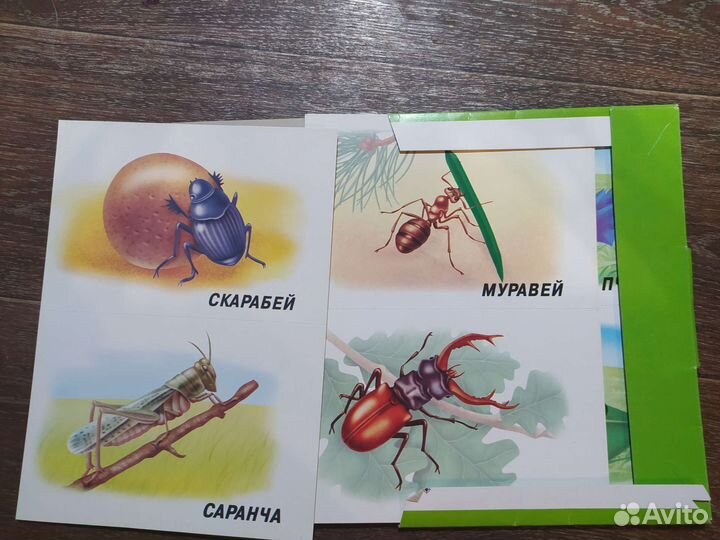 Развивающие игры. Дидактические материалы