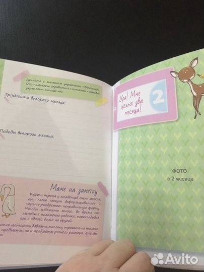 Книжка альбом