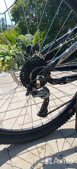 Stark tactic fs 29.5 2022