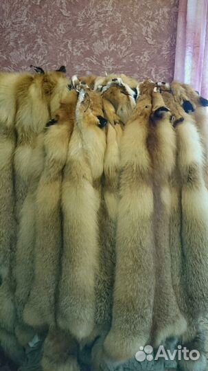 Шкуры лисы
