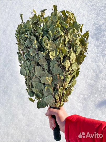 Березовые веники