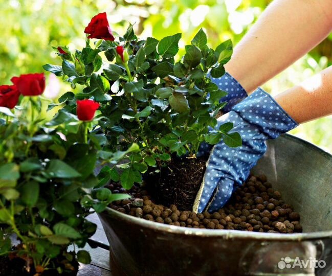 Дренаж для растений / Керамзит