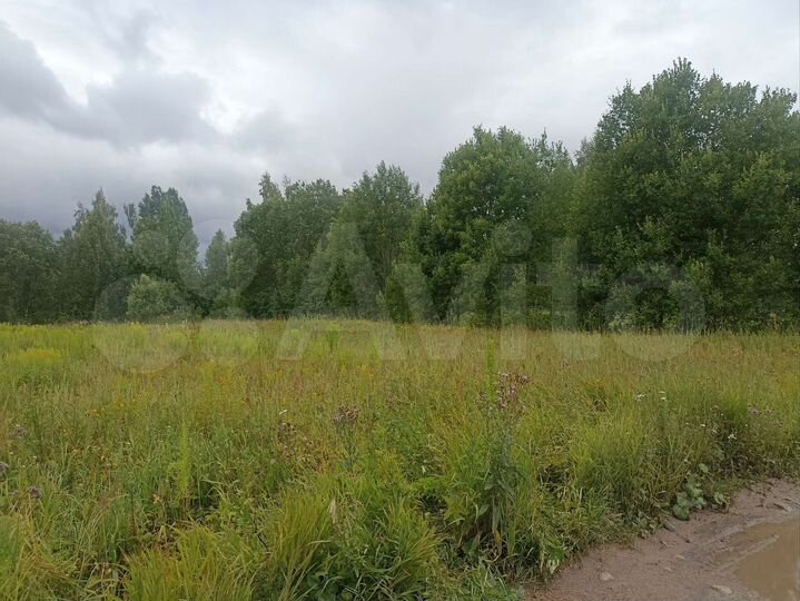 Участок 11 сот. (СНТ, ДНП)