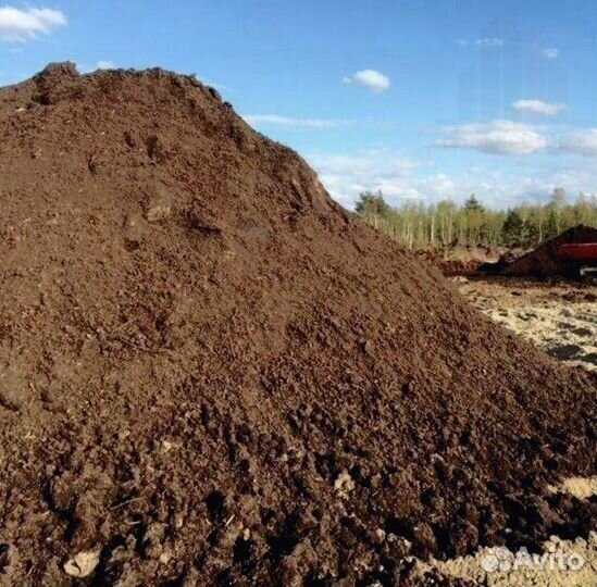 Чернозём