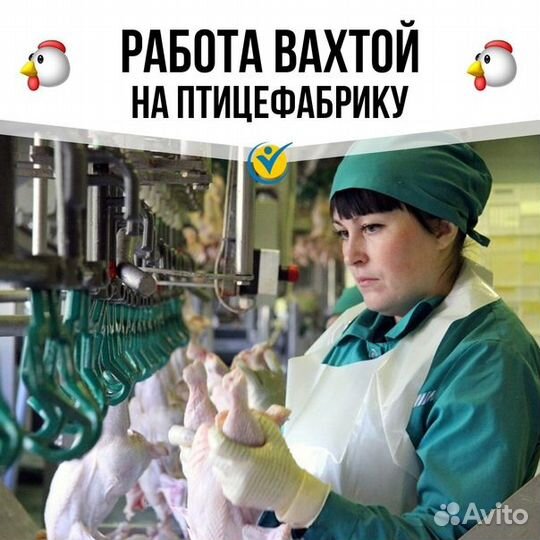 Вакансия на птицефабрике, сменный график Челябинск