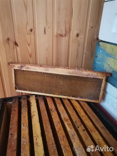 Рамки с сушью