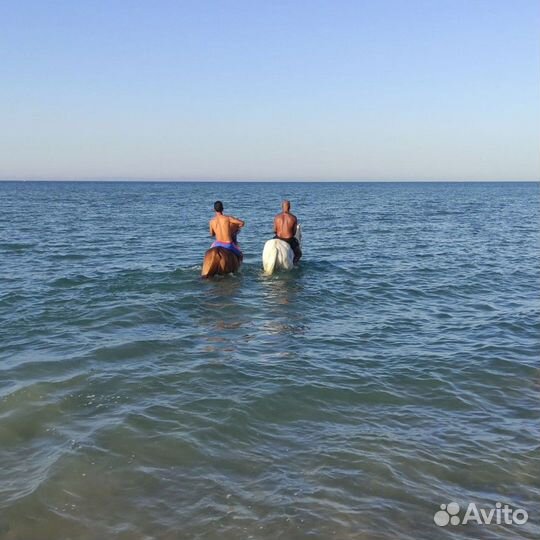 Экскурсия — Хургада — Вморе верхом налошади